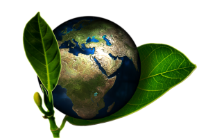 Earth. Fotografia de Geralt