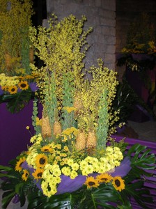 DSCN0762
