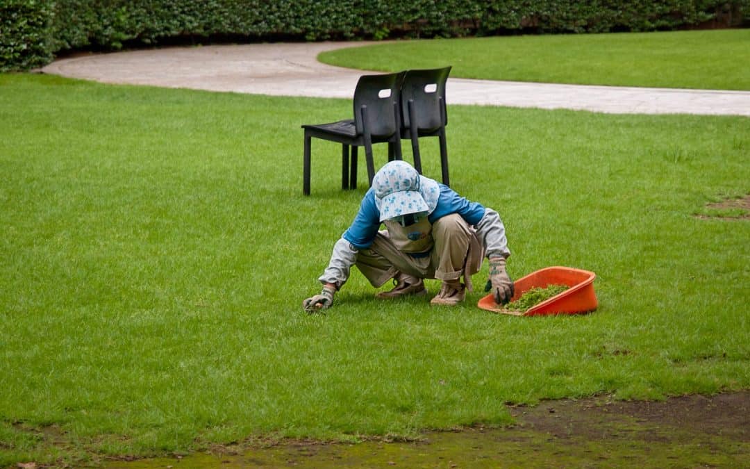 Jardiners del món