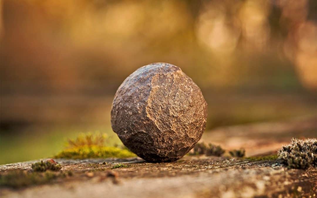 El ego: parásito del ser (y III)