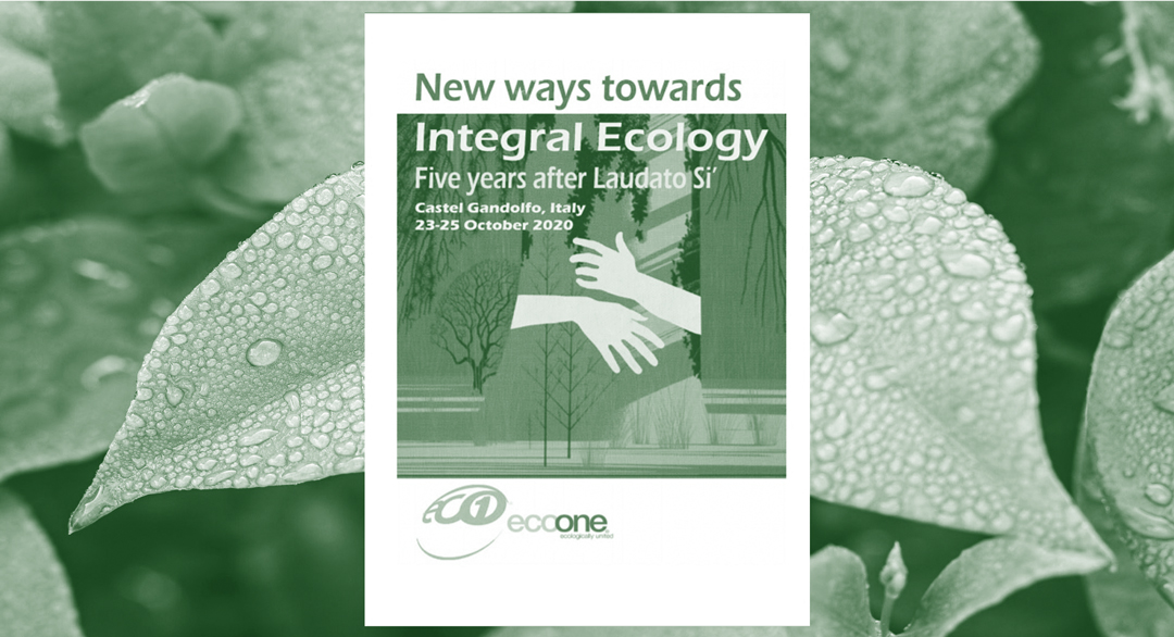 Noves vies cap a una ecologia integral